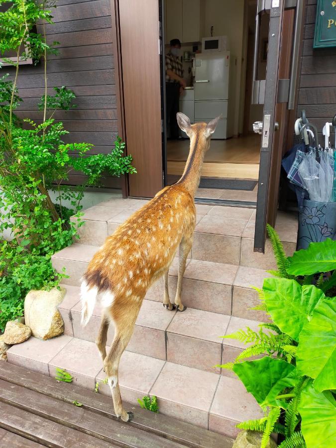 Mini Inn Nara- - 外国人向け - 日本人予約不可 المظهر الخارجي الصورة